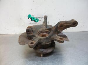 Stub Axle SUZUKI ALTO (FF)