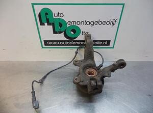 Stub Axle RENAULT CLIO III (BR0/1, CR0/1), RENAULT CLIO IV (BH_)