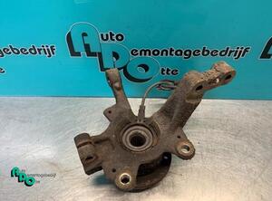 Stub Axle RENAULT CLIO III (BR0/1, CR0/1), RENAULT CLIO IV (BH_)