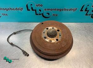 Wheel Bearing FIAT GRANDE PUNTO (199_), FIAT PUNTO (199_), FIAT PUNTO EVO (199_)