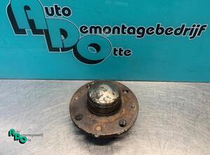 Wheel Bearing FIAT GRANDE PUNTO (199_), FIAT PUNTO (199_), FIAT PUNTO EVO (199_)