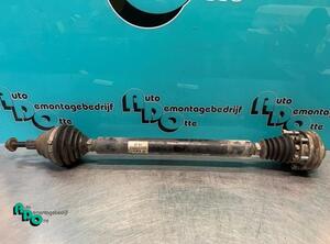 Drive Shaft SEAT LEON (1P1), VW GOLF VI (5K1), VW GOLF VI Van (5K1_), VW GOLF V (1K1)