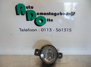 Fog Light RENAULT LAGUNA II (BG0/1_)