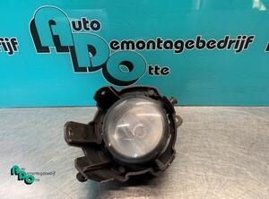 Fog Light SUZUKI SWIFT III (MZ, EZ), NISSAN PIXO (UA0), PEUGEOT 207 CC (WD_), RENAULT SCÉNIC II (JM0/1_)