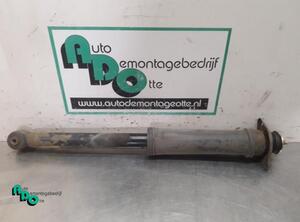 Shock Absorber CHEVROLET KALOS, DAEWOO KALOS (KLAS)