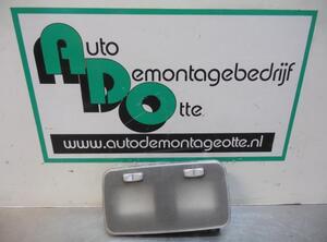 Interieurverlichting FIAT FIORINO Box Body/MPV (225_), FIAT QUBO (225_), FIAT GRANDE PUNTO (199_), FIAT PUNTO EVO (199_)