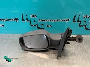 Wing (Door) Mirror RENAULT CLIO III (BR0/1, CR0/1)