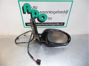 Wing (Door) Mirror VW GOLF PLUS (5M1, 521)