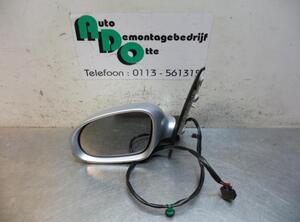 Wing (Door) Mirror VW GOLF PLUS (5M1, 521)