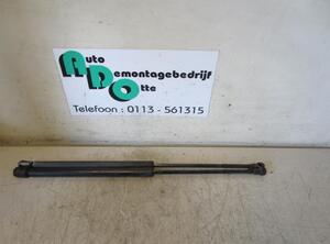 Bootlid (Tailgate) Gas Strut Spring VW GOLF IV (1J1)