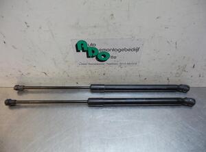 Bootlid (Tailgate) Gas Strut Spring SEAT IBIZA IV (6J5, 6P1), SEAT IBIZA IV SC (6J1, 6P5), SEAT IBIZA IV ST (6J8, 6P8)