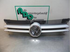 Radiator Grille VW GOLF IV (1J1)