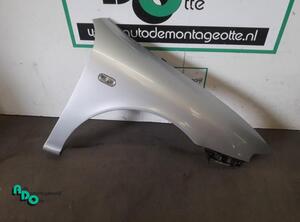 Spatbord SEAT LEON (1M1)