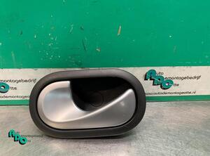 Door Handle RENAULT CLIO III (BR0/1, CR0/1)