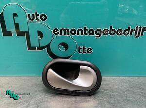 Door Handle RENAULT CLIO III (BR0/1, CR0/1)