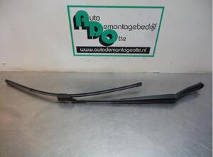 Wiper Arm VW GOLF V (1K1), VW GOLF VI (5K1), VW GOLF VAN VI Variant (AJ5), VW GOLF VI Van (5K1_)