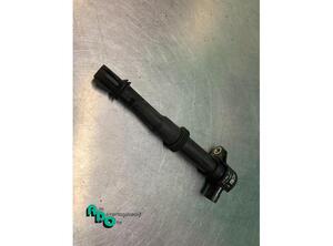 Ignition Coil FIAT DOBLO MPV (119_, 223_), FIAT STILO Multi Wagon (192_)