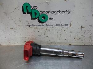 Ignition Coil AUDI A6 (4F2, C6)