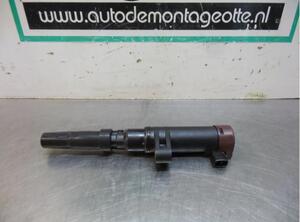 Ignition Coil RENAULT CLIO III (BR0/1, CR0/1)