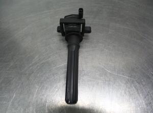 Ignition Coil CHRYSLER 300 C (LX, LE)