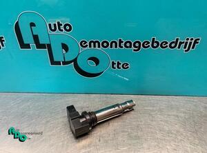 Ignition Coil SEAT IBIZA III (6L1), VW GOLF V (1K1), VW POLO (6R1, 6C1), VW POLO Van (6R)