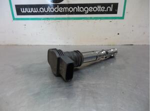 Ignition Coil SEAT IBIZA III (6L1), AUDI A4 Avant (8E5, B6), AUDI A4 Avant (8ED, B7)