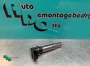 Ignition Coil VW POLO (6R1, 6C1), VW POLO Van (6R), VW POLO (9N_), SEAT IBIZA IV (6J5, 6P1)