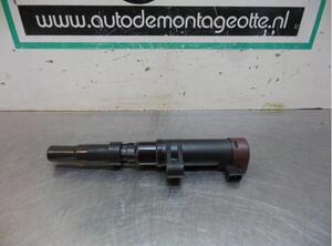 Ignition Coil RENAULT CLIO III (BR0/1, CR0/1)