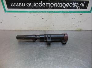 Ignition Coil RENAULT CLIO III (BR0/1, CR0/1)