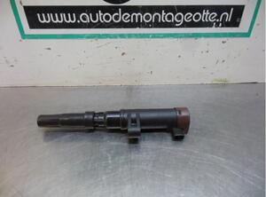 Ignition Coil RENAULT CLIO III (BR0/1, CR0/1)