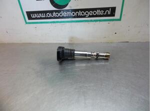 Ignition Coil SEAT IBIZA III (6L1), AUDI A4 Avant (8E5, B6), AUDI A4 Avant (8ED, B7)