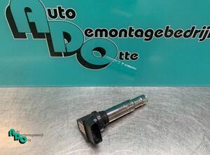 Ignition Coil VW POLO (6R1, 6C1), VW POLO Van (6R), VW POLO (9N_), SEAT IBIZA IV (6J5, 6P1)