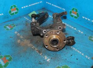 Stub Axle AUDI A4 (8EC, B7), AUDI A4 (8E2)