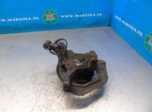 Stub Axle RENAULT Twingo III (BCM)