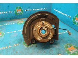 Stub Axle NISSAN JUKE (F15)