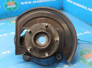 Stub Axle NISSAN JUKE (F15)