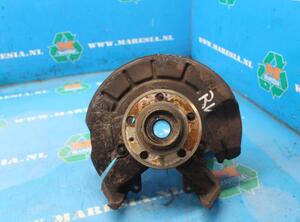 Stub Axle VW POLO (9N_), SEAT IBIZA III (6L1), SKODA FABIA I (6Y2), VW FOX Hatchback (5Z1, 5Z3, 5Z4)