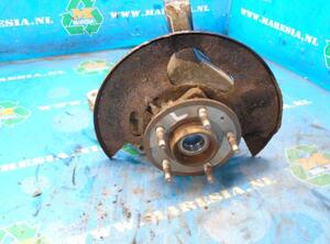 Stub Axle OPEL ANTARA (L07)