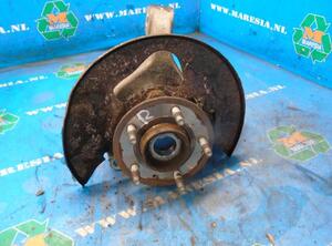 Stub Axle OPEL ANTARA (L07)