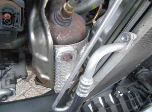 Catalytic Converter TOYOTA AYGO (_B4_)