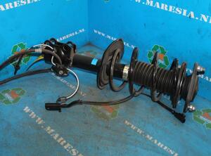 Suspension Strut TOYOTA Auris (ADE15, NDE15, NRE15, ZRE15, ZZE15), TOYOTA Auris (E18)