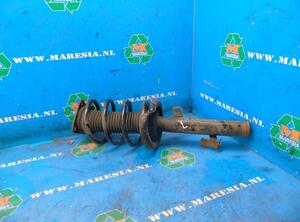 Suspension Strut FORD Kuga I (--), FORD Kuga II (DM2)