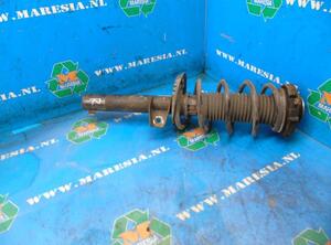 Suspension Strut SKODA Octavia II Combi (1Z5)