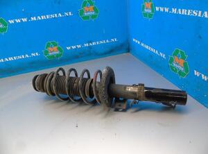 Suspension Strut SKODA FABIA II (542)