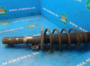 Suspension Strut SKODA FABIA II (542)