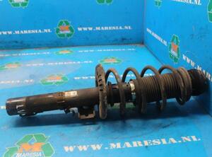 Suspension Strut SKODA FABIA II (542)