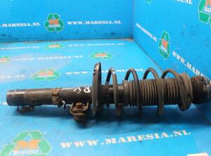 Suspension Strut SKODA FABIA II (542)