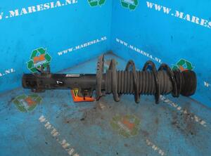 Suspension Strut SEAT Ibiza IV (6J5, 6P1), SEAT Ibiza IV Sportcoupe (6J1, 6P5)