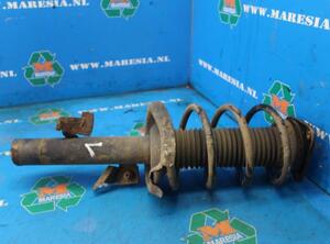 Suspension Strut FORD C-Max (DM2), FORD Focus C-Max (--)