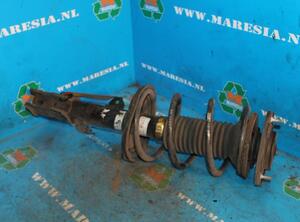 Suspension Strut TOYOTA Corolla (NDE12, ZDE12, ZZE12)